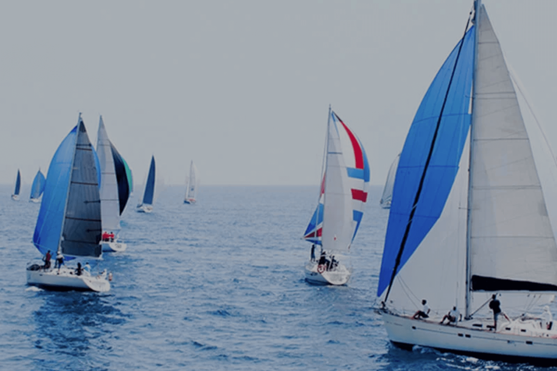 regata blue image